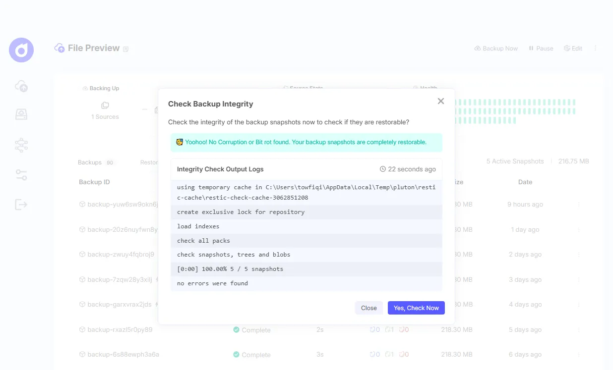 Pluton restic check command gui