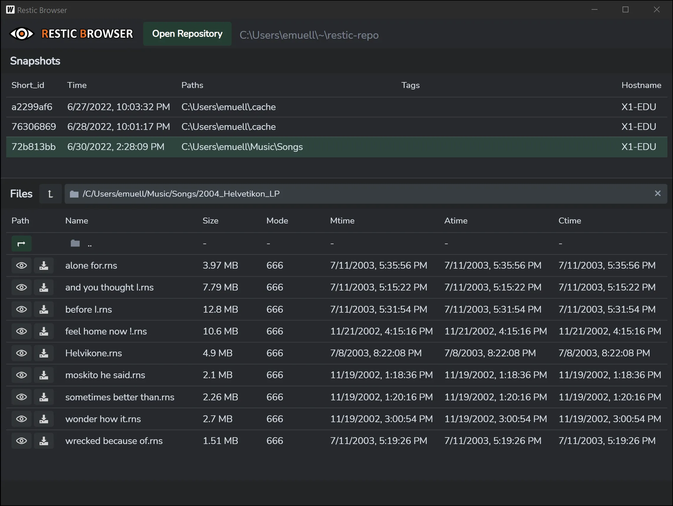 Restic Browser Interface